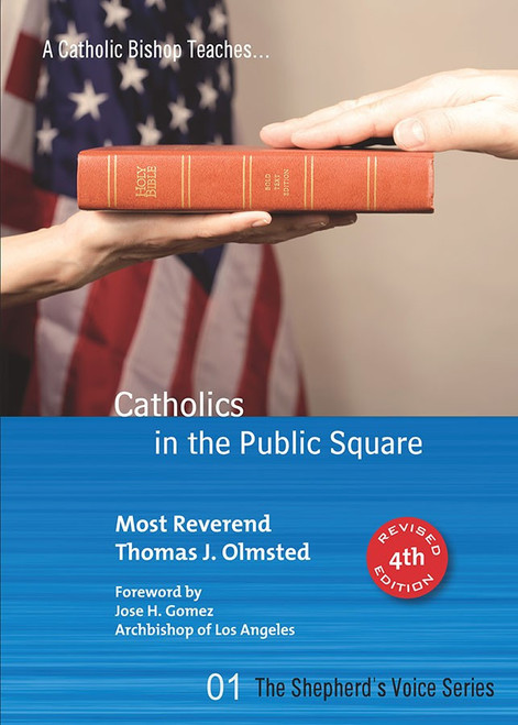 Catholics in the Public Square (eBook)