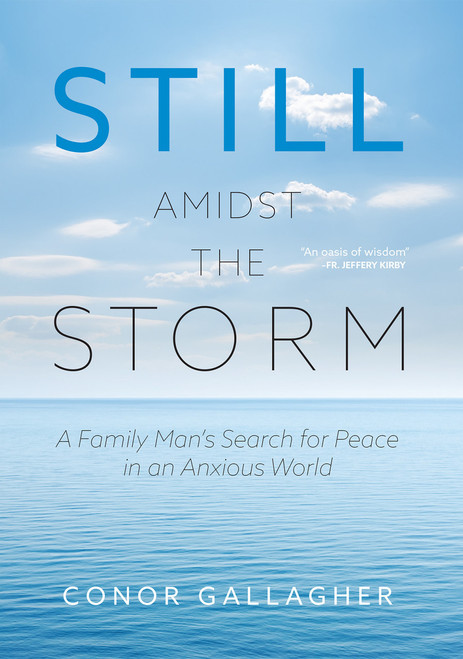 Still Amidst the Storm: A Family Man's Search for Peace in an Anxious World (Parish Edition)
