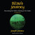 Bilbo's Journey: Discovering the Hidden Meaning in  The Hobbit. Audiobook Cover