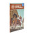 Courage in the Colosseum (eBook)