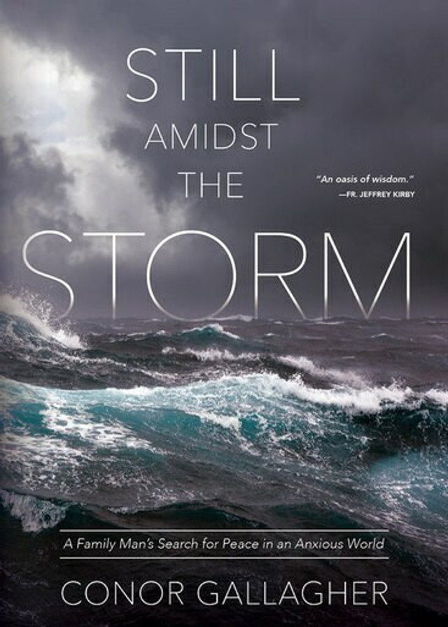 Still Amidst the Storm: A Family Man's Search for Peace in an Anxious World (eBook)