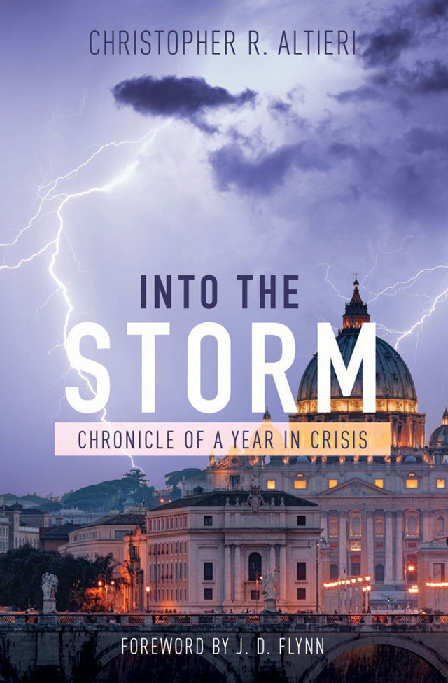 Into the Storm: Chronicle of a Year in Crisis