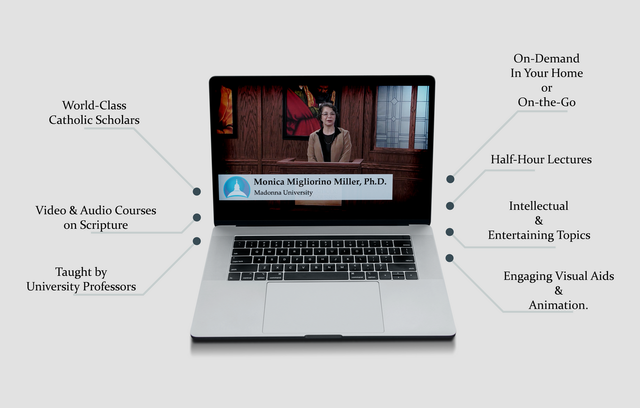 The New Testament Canon info graphic