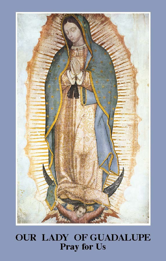 Our Lady of Guadalupe Prayer Card (Pack of 100)