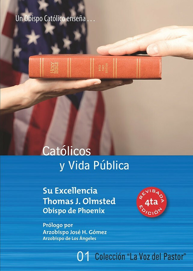 Católicos y vida pública (eBook)