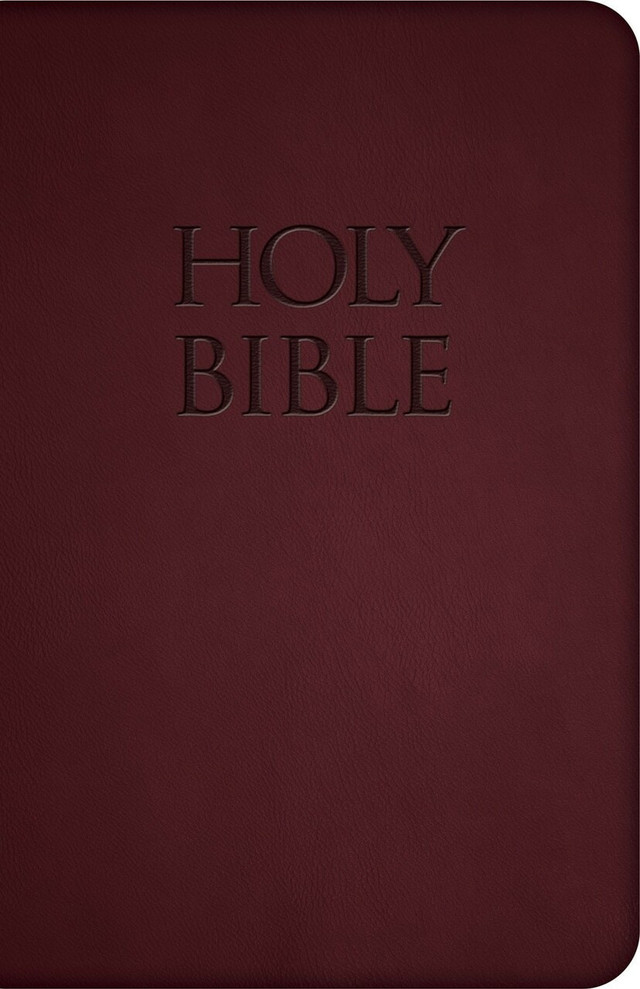 NABRE - New American Bible Revised Edition (Burgundy Deluxe Leatherette)