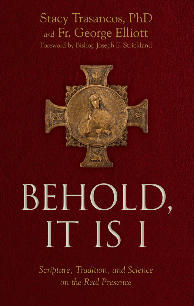 Behold It is I (eBook)