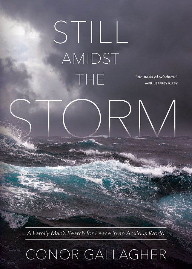 Still Amidst the Storm: A Family Man's Search for Peace in an Anxious World