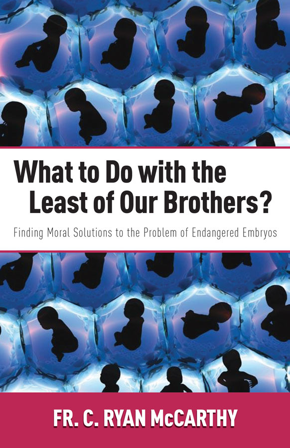 What to Do with the Least of Our Brothers?: Finding Moral Solutions to the Probl img