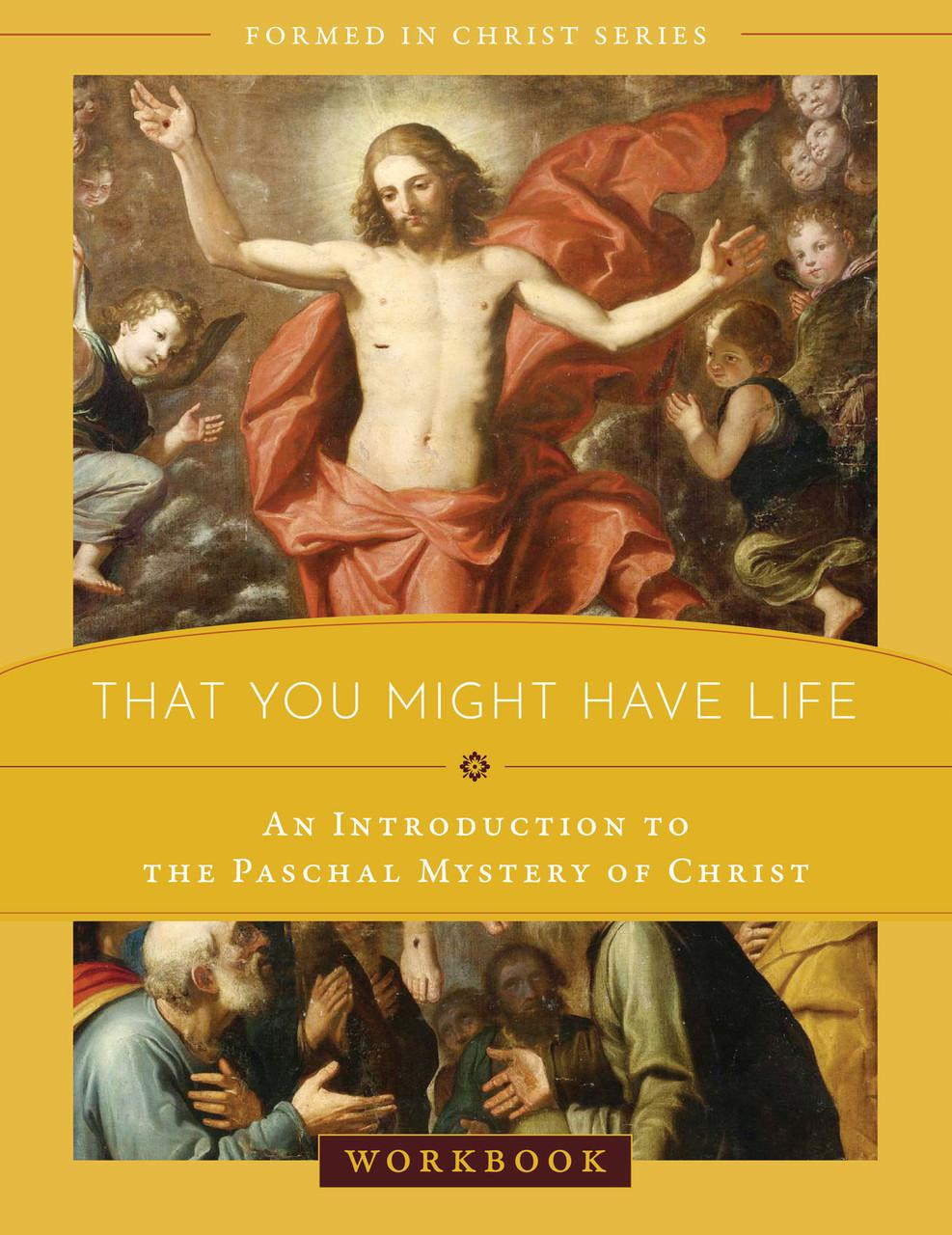 Formed in Christ: That You Might Have Life (Workbook) img