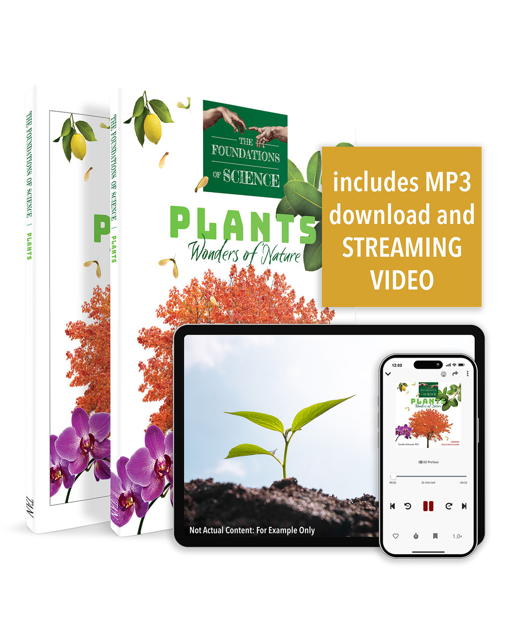 The Foundations of Science: Plants (Set)