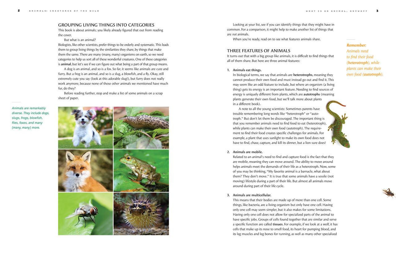 The Foundations of Science: Animals (Set)