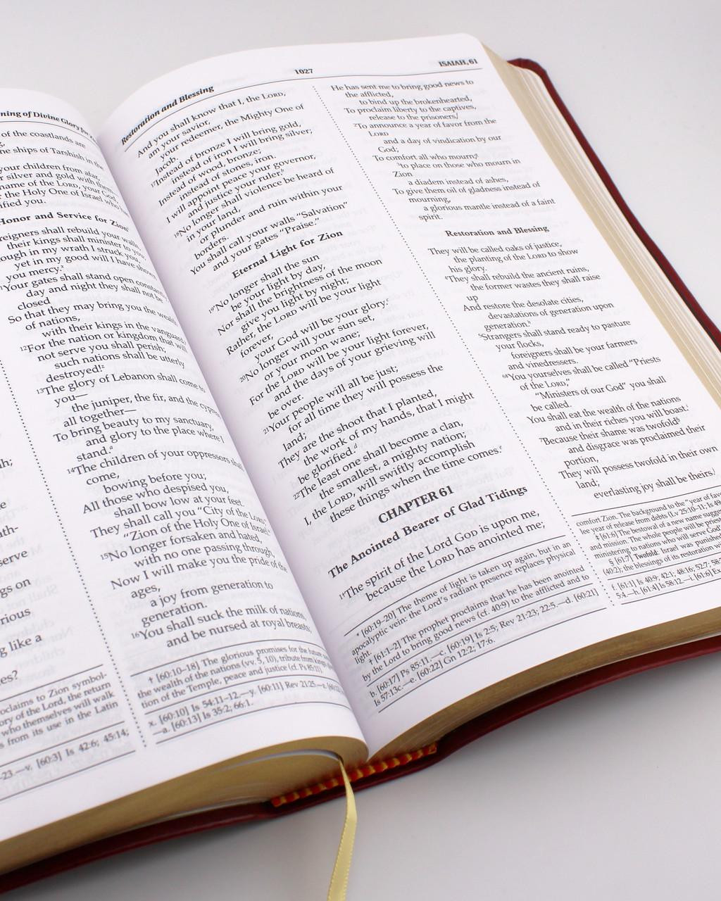 NABRE Holy Bible Red