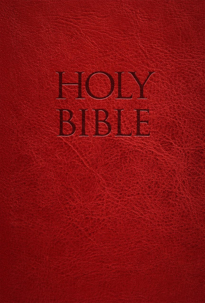 NABRE Holy Bible Red