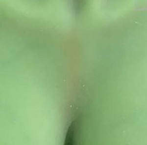 Custom Doll - WM and YL - Skin Tone - Green Skin Custom Doll - WM and YL - Skin Tone - Green Skin