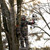 hunter wearing fortress drawing a bow in a tree
