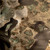 Silentshell Jacket fabric