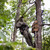 hunter in a saddle in a tree