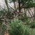 women hunter in the tree stand
