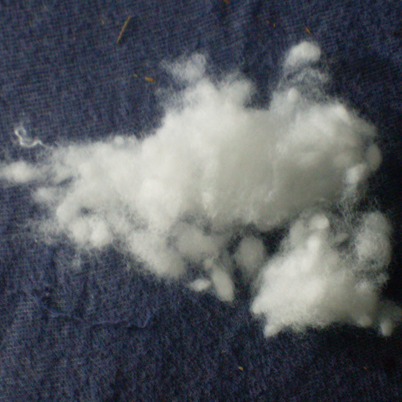 Square 21"x21" Down Alternative Polyfill Pillow Insert from Pillow Decor