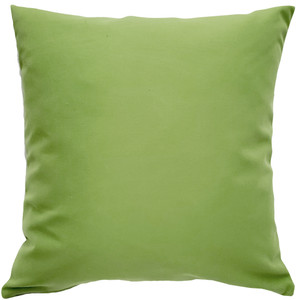 Sunbrella Ginko Green Outdoor Pillow 20x20