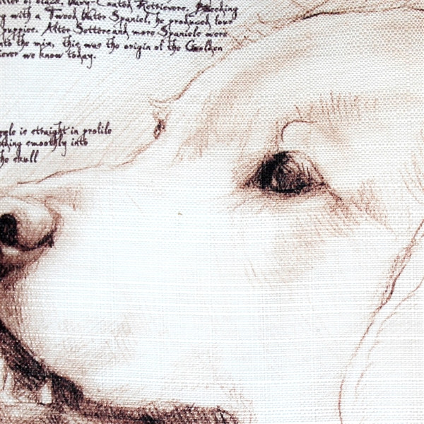 Golden Retriever Dog Pillow 17x17