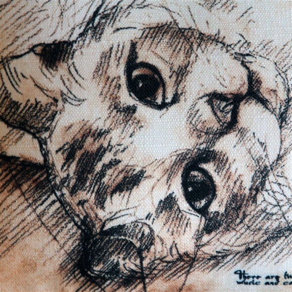 The Love of Cats 17x17 Throw Pillow