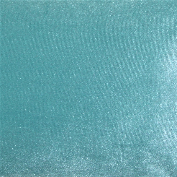 Corona Aqua Blue Velvet Pillow 19x19