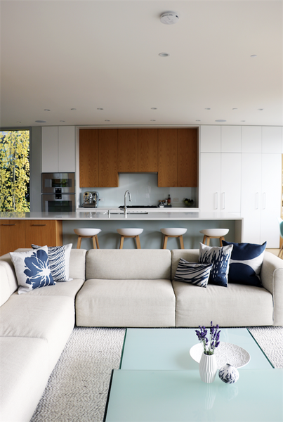 Kukamuka Kivi Blue Throw Pillow 22x22