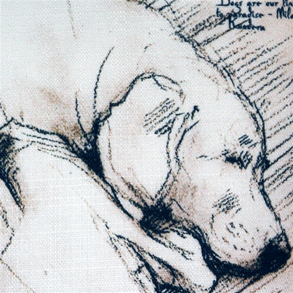 The Love of Dogs 17x17 Throw Pillow