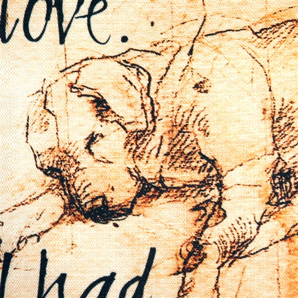 I have Known Love Sleeping Lab 17x17 Dog Pillow