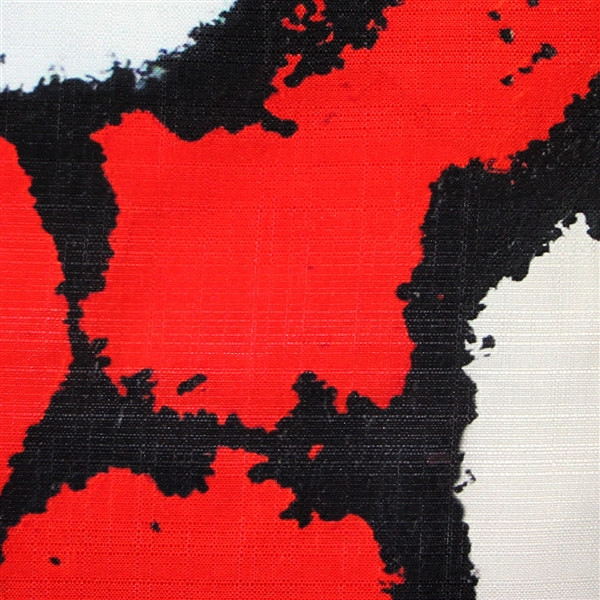 Metropolis Madrid Throw Pillow 19x19