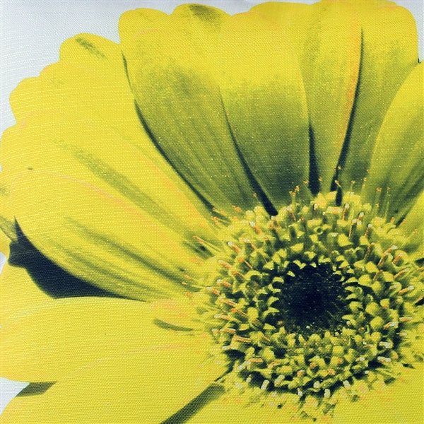 Bold Daisy Flower Yellow Throw Pillow 19x19