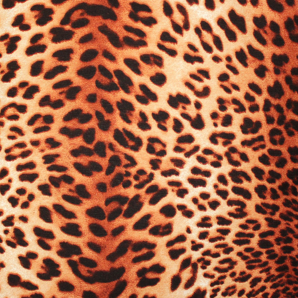 Kitsui Leopard Throw Pillow 12x20 Fabric