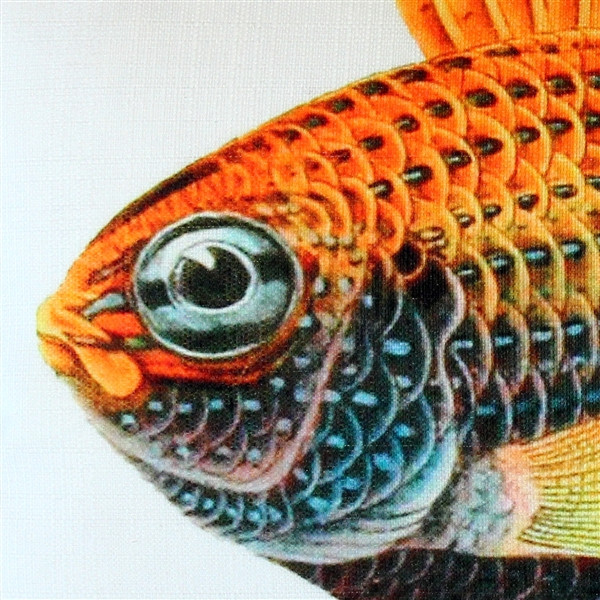 Pillow Decor - Lionfish Fish Pillow 12x19