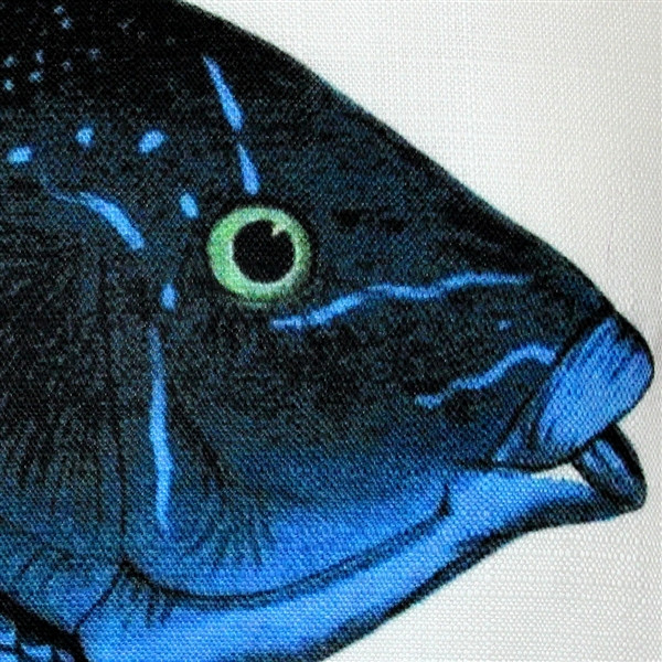 Blue Wrasse Fish Pillow 12x19