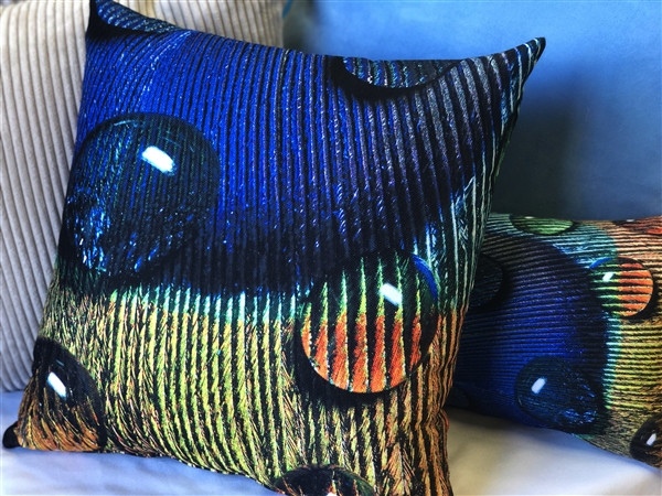 Peacock Splash BGY Throw Pillow 20x20