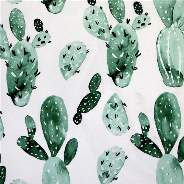 Karalina Cactus Garden Throw Pillow 20x20