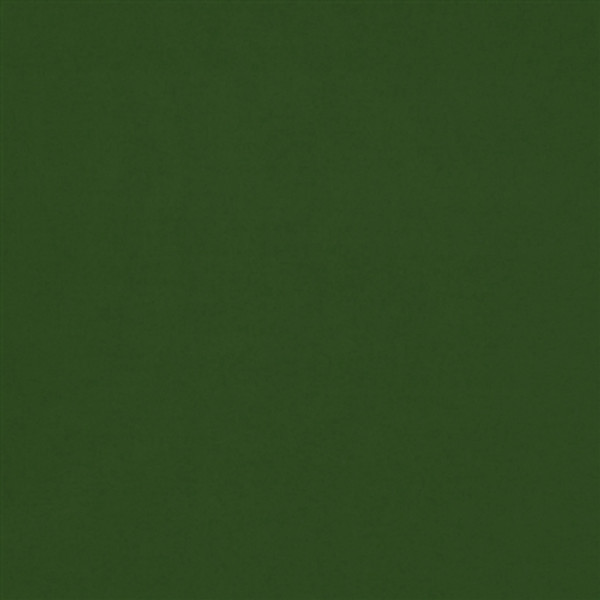 Caravan Cotton Forest Green 16x16 Throw Pillow