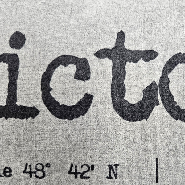 Victoria Gray Felt Coordinates Pillow 12x19 Fabric