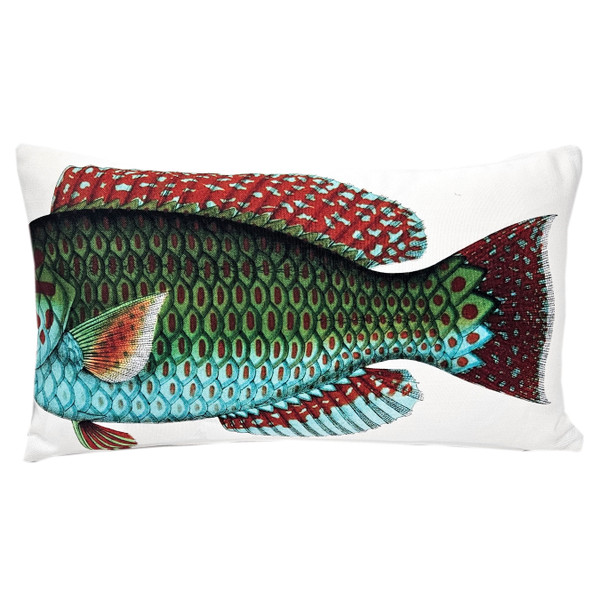 Stareye Parrot Fish Pillow back
