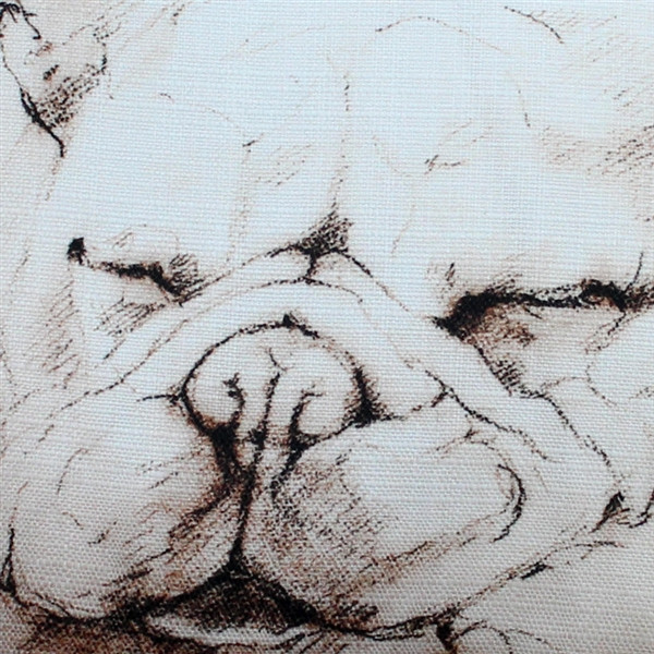 French Bulldog 17x17 Dog Pillow