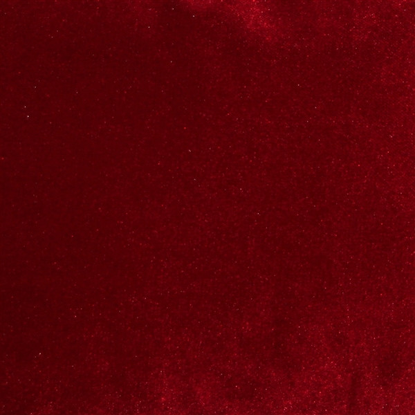 Corona Red Velvet Pillow 19x19