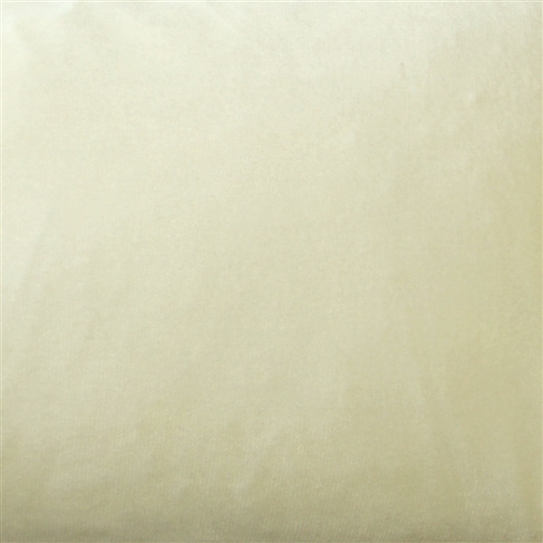 Corona Ivory Velvet Pillow 19x19