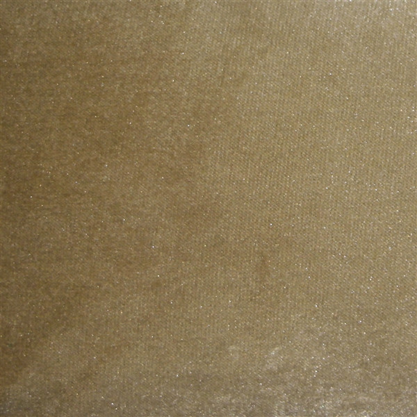 Corona Sable Velvet Pillow 16x16