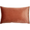 Corona Rose Blush Velvet Pillow 12x20