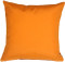 Sunbrella Tangerine Orange 20x20 Outdoor Pillow