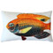 Princess Damselfish Fish Pillow 12x19