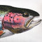 Rainbow Trout Fish Pillow 12x19