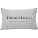 Peachland Gray Felt Coordinates Pillow 12x19